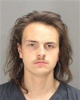 TRAVIS LEE HOUSTON Photo / TRAVIS LEE HOUSTON Images