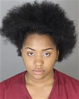 BRITTNEY NOEL STEPHENSEARLY Mugshot / Oakland County MI Arrests / Oakland County Michigan Arrests