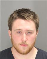 KELLY RYAN KRZECZKOWSKI Photo / KELLY RYAN KRZECZKOWSKI Images