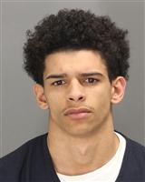 JUSTIN MICHAEL LANGFARMER Photo / JUSTIN MICHAEL LANGFARMER Images