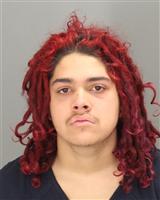 JORDAN TYLER STEGEMAN Photo / JORDAN TYLER STEGEMAN Images