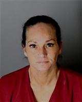 MELLISA ANN GONZALES Mugshot / Oakland County MI Arrests / Oakland County Michigan Arrests