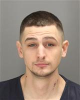 JUSTIN LEE JOHNSON Photo / JUSTIN LEE JOHNSON Images