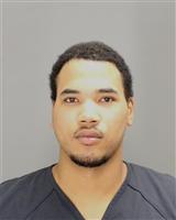 EMMETT MICHAEL JULIEN Mugshot / Oakland County MI Arrests / Oakland County Michigan Arrests