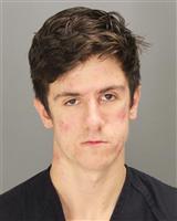 RYAN ROBERT DEBRUYNE Mugshot / Oakland County MI Arrests / Oakland County Michigan Arrests
