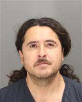 CARLOS JAVIER SALASGALLARDO Mugshot / Oakland County MI Arrests / Oakland County Michigan Arrests