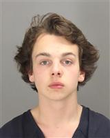 REESE JACOB NELSON Mugshot / Oakland County MI Arrests / Oakland County Michigan Arrests