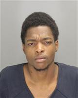 KYARNOL KEANTE BRANNER Photo / KYARNOL KEANTE BRANNER Images