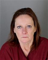 SUSAN LEE DUNIKOWSKI Mugshot / Oakland County MI Arrests / Oakland County Michigan Arrests