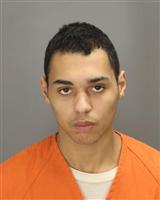 JOSHUA  ALLEN Mugshot / Oakland County MI Arrests / Oakland County Michigan Arrests