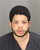 JARELLE JOSHUA MARTIN Mugshot / Oakland County MI Arrests / Oakland County Michigan Arrests