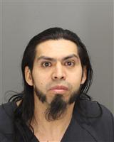 FERNANDO  BECERRA Mugshot / Oakland County MI Arrests / Oakland County Michigan Arrests