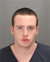 RYAN MICHAEL MCMANUS Photo / RYAN MICHAEL MCMANUS Images