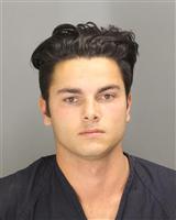 VINCENT ANDREW PITTORE Mugshot / Oakland County MI Arrests / Oakland County Michigan Arrests