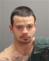 COREY FRANCIS ANDERSON Mugshot / Oakland County MI Arrests / Oakland County Michigan Arrests