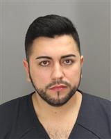 MIGUEL ANGEL RAMIREZALATORRE Mugshot / Oakland County MI Arrests / Oakland County Michigan Arrests