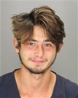 VLAD NOVIKOV RAY Mugshot / Oakland County MI Arrests / Oakland County Michigan Arrests