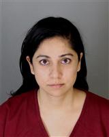 AMNA NAZIR CHAUDHARY Mugshot / Oakland County MI Arrests / Oakland County Michigan Arrests
