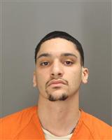 DANNY  HOUSTON Photo / DANNY  HOUSTON Images