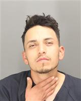 NESTORALEJANDRO  CASTANEDACARDOSO Mugshot / Oakland County MI Arrests / Oakland County Michigan Arrests