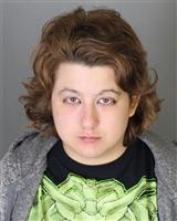 CIARAH ANN HAWK Mugshot / Oakland County MI Arrests / Oakland County Michigan Arrests