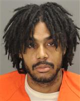 TREVON LAMARR WILLIAMS Photo / TREVON LAMARR WILLIAMS Images