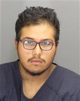 FERNANDO MIGUEL GARCIA Mugshot / Oakland County MI Arrests / Oakland County Michigan Arrests