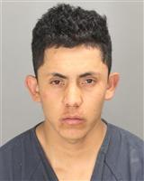 ANTONIO GAMEZ MARTINEZ Photo / ANTONIO GAMEZ MARTINEZ Images