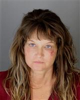 ADRIANNE KRISTEN HILLERKUNZ Mugshot / Oakland County MI Arrests / Oakland County Michigan Arrests