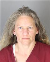 LESA ANN MCDONOUGH Mugshot / Oakland County MI Arrests / Oakland County Michigan Arrests