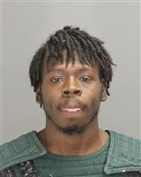 TANGELO SHAKORE WILLIAMS Photo / TANGELO SHAKORE WILLIAMS Images