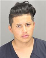LUIS  MENDIA Mugshot / Oakland County MI Arrests / Oakland County Michigan Arrests
