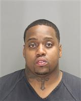 CHRISTOPHER P RADDEN Photo / CHRISTOPHER P RADDEN Images