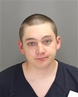 ZACHARY ALLEN HERMANSON Mugshot / Oakland County MI Arrests / Oakland County Michigan Arrests