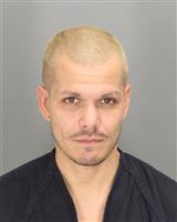 DAVID ANTHONY RAMIREZ Mugshot / Oakland County MI Arrests / Oakland County Michigan Arrests