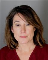 SUSANNE ELIZABETH PFEFFER Mugshot / Oakland County MI Arrests / Oakland County Michigan Arrests