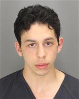 YITZCHAK GAVRIEL STEINBERG Mugshot / Oakland County MI Arrests / Oakland County Michigan Arrests