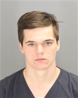 SHANE ANTHONY BENTLEY Photo / SHANE ANTHONY BENTLEY Images