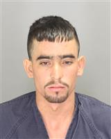 LUISANGEL  LOPEZSILVA Mugshot / Oakland County MI Arrests / Oakland County Michigan Arrests