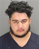 BOBBY JEREMIAS PRECIADO Mugshot / Oakland County MI Arrests / Oakland County Michigan Arrests