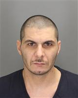 ALI NAJI YASSIN Mugshot / Oakland County MI Arrests / Oakland County Michigan Arrests