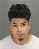 MIGUEL ANGEL IBARRACEDRA Photo / MIGUEL ANGEL IBARRACEDRA Images