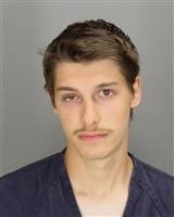 AUSTIN JAMES FODERA Photo / AUSTIN JAMES FODERA Images