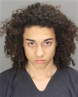 ALEXIS ADONIS HLOROS Mugshot / Oakland County MI Arrests / Oakland County Michigan Arrests