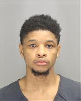 JOSEPH DEANTEZ SWAN Photo / JOSEPH DEANTEZ SWAN Images