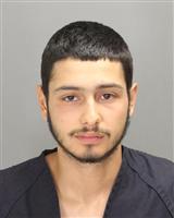 BRIAN FEDERICO GARCIA Photo / BRIAN FEDERICO GARCIA Images