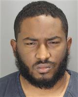 BLAIR RICHARD CUNNINGHAM Photo / BLAIR RICHARD CUNNINGHAM Images