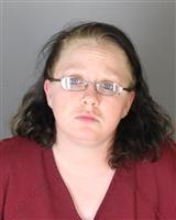 ALIZABETH ANNE FITCH Mugshot / Oakland County MI Arrests / Oakland County Michigan Arrests
