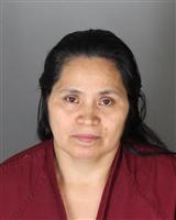 MANDA DEJESUS PORTILLODETRIGUERO Mugshot / Oakland County MI Arrests / Oakland County Michigan Arrests