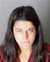 AMANDA MARIE THIELEMAN Mugshot / Oakland County MI Arrests / Oakland County Michigan Arrests